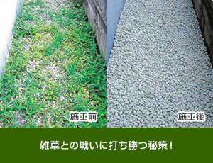 ダスキン 高畑トータルグリーンで、害虫対策、芝生のお手入れ、お庭管理　名古屋市全域対応